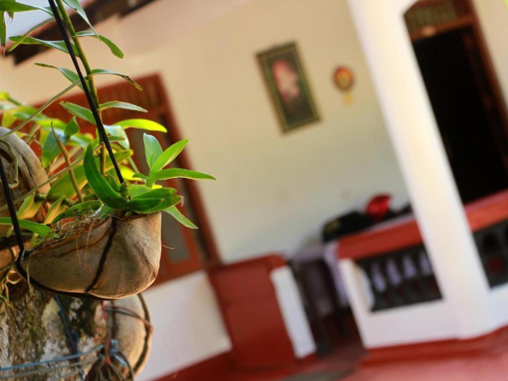 Celine'S Home Mirissa Εξωτερικό φωτογραφία